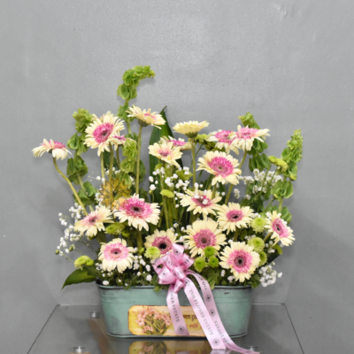 Gerbera One-sided Arrangement