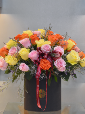 Assorted 4 Dozen Ecuadorian Roses in Round Estate Box